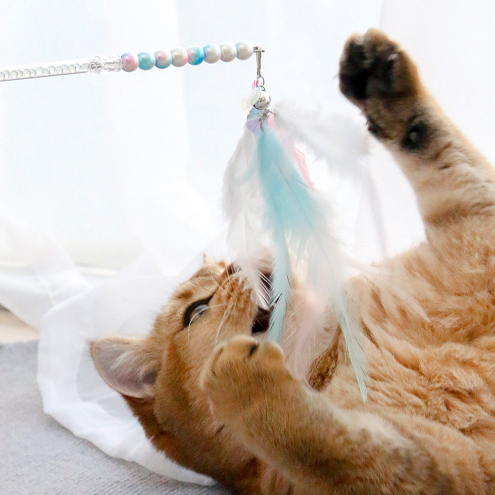 Colorful Tassel Cat Teaser petin