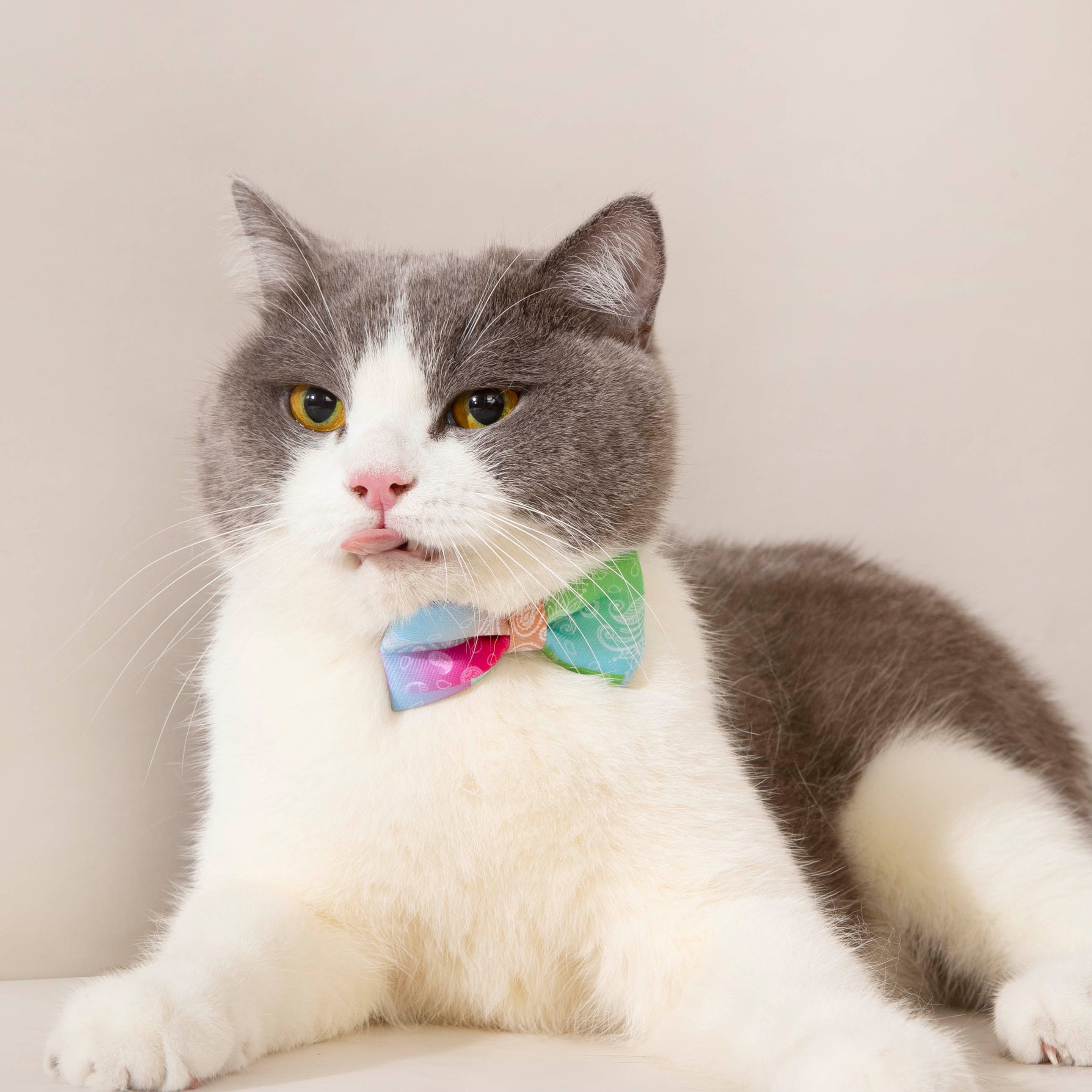 Colorful Trendy Anti-suffocation Cat Bow Tie petin