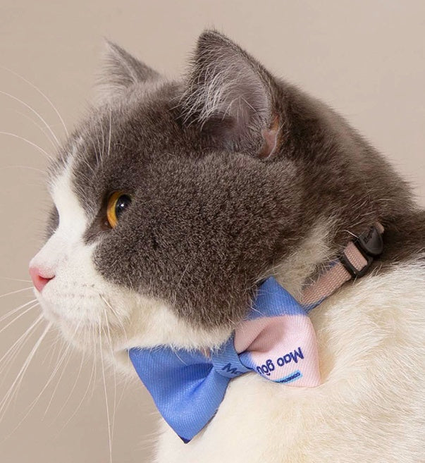 Colorful Trendy Anti-suffocation Cat Bow Tie petin