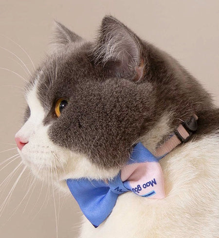 Colorful Trendy Anti-suffocation Cat Bow Tie petin