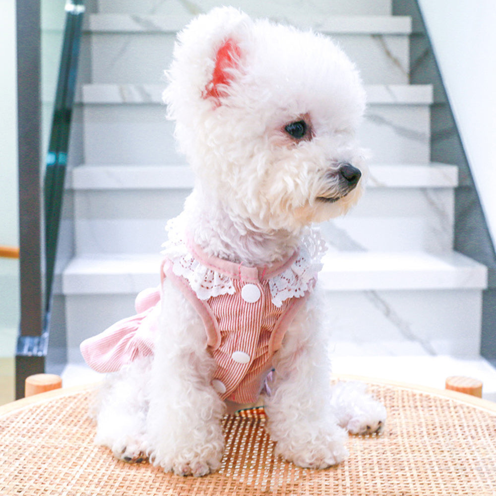 Corduroy Lace Edge Cute Dog Dress petin