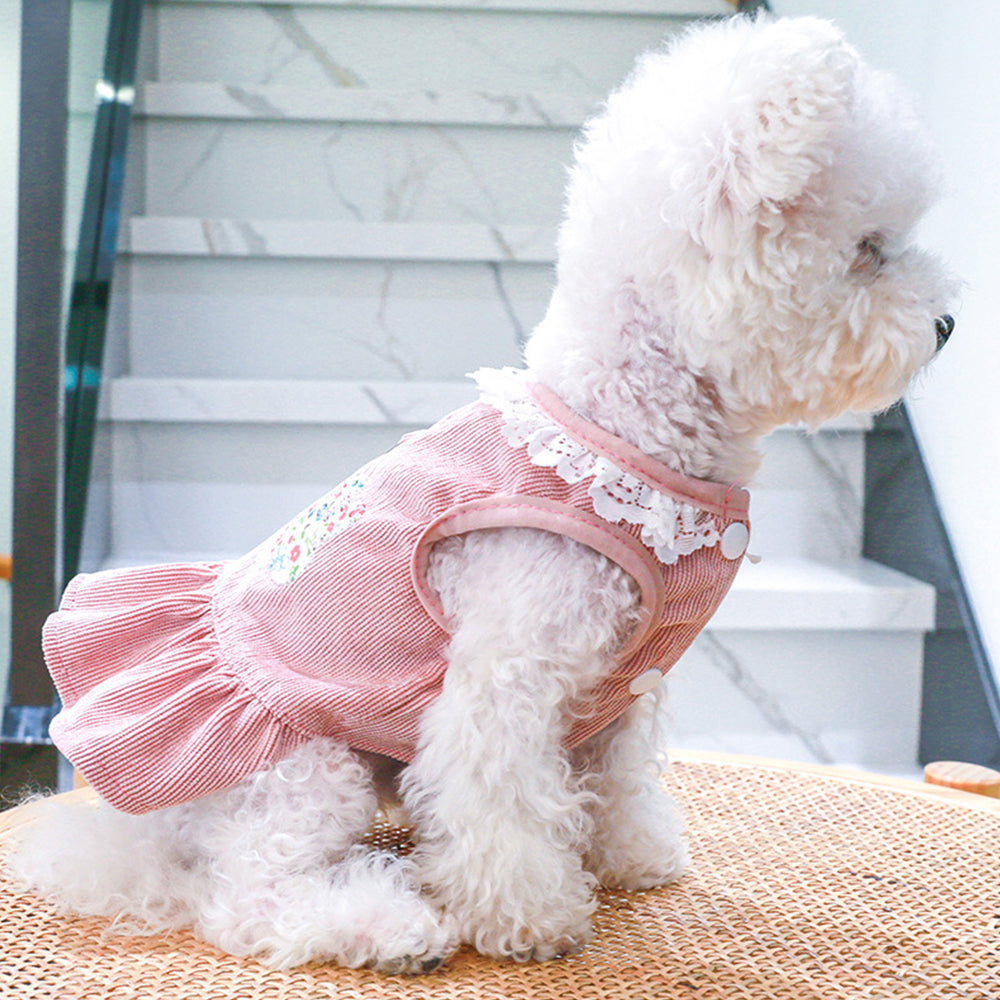 Corduroy Lace Edge Cute Dog Dress petin