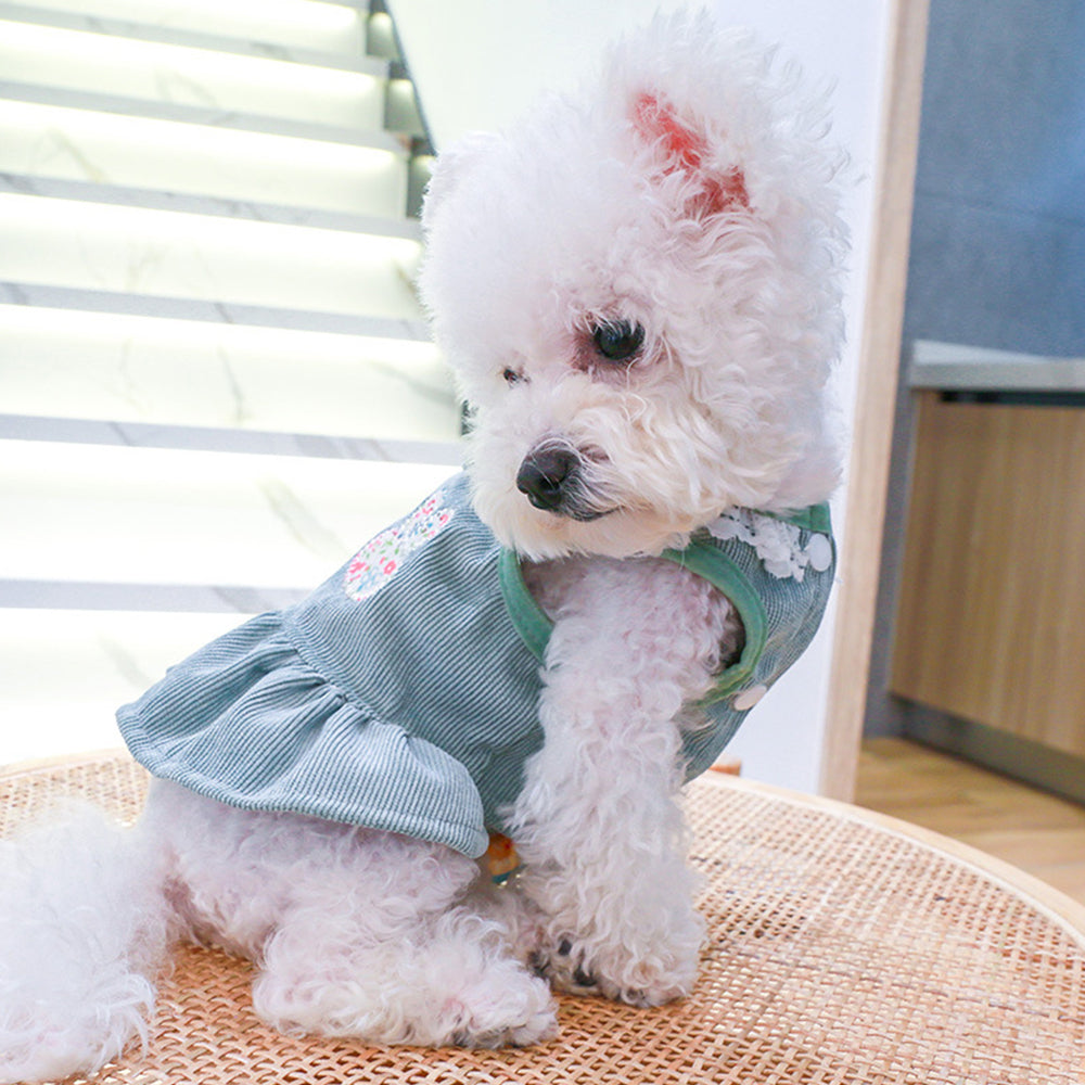 Corduroy Lace Edge Cute Dog Dress petin