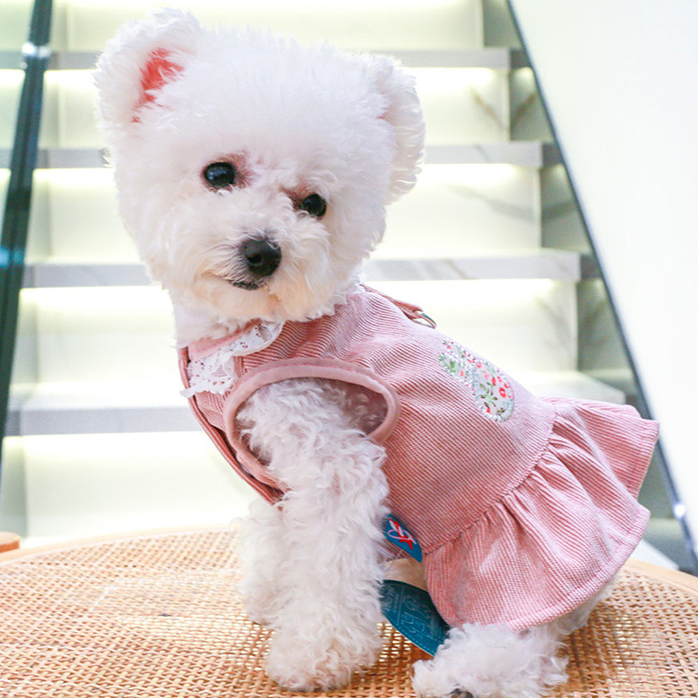 Corduroy Lace Edge Cute Dog Dress petin