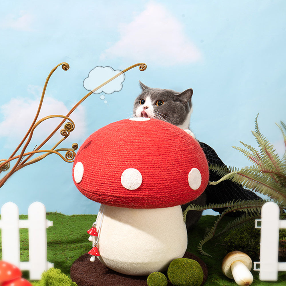 Creative Mushroom Cat Post petin