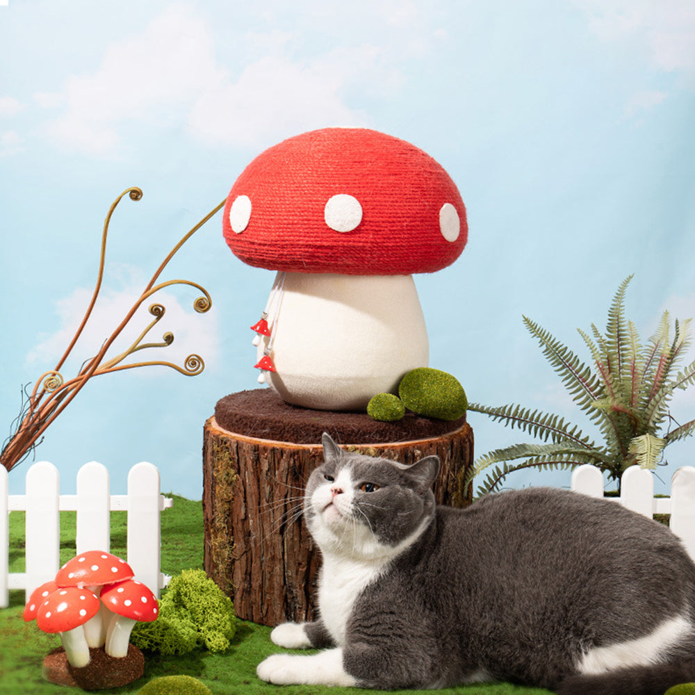 Creative Mushroom Cat Post petin