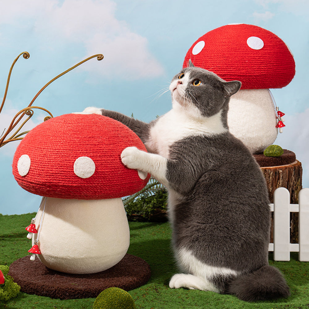 Creative Mushroom Cat Post petin