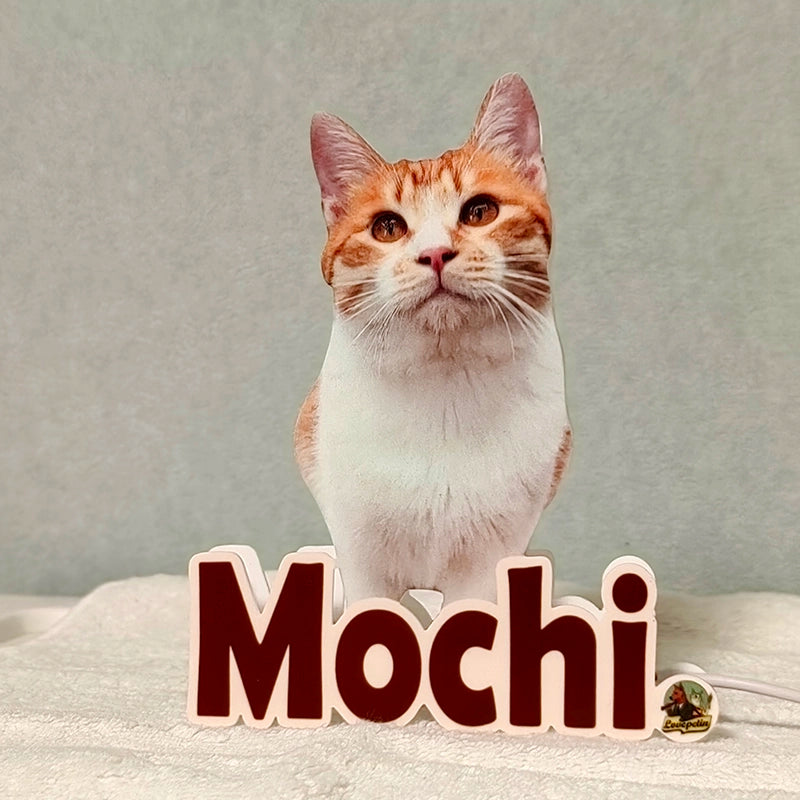 custom pet night light