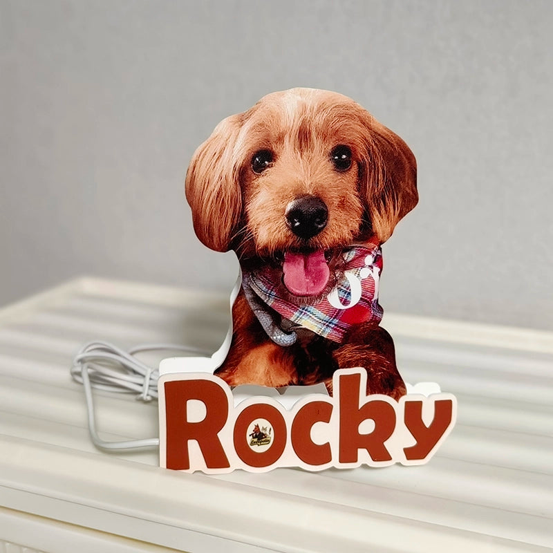custom pet night light