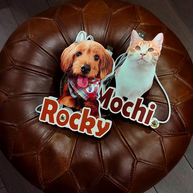 custom pet night light