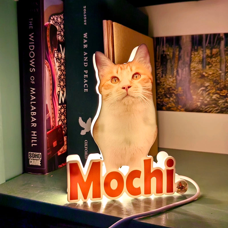 custom pet night light