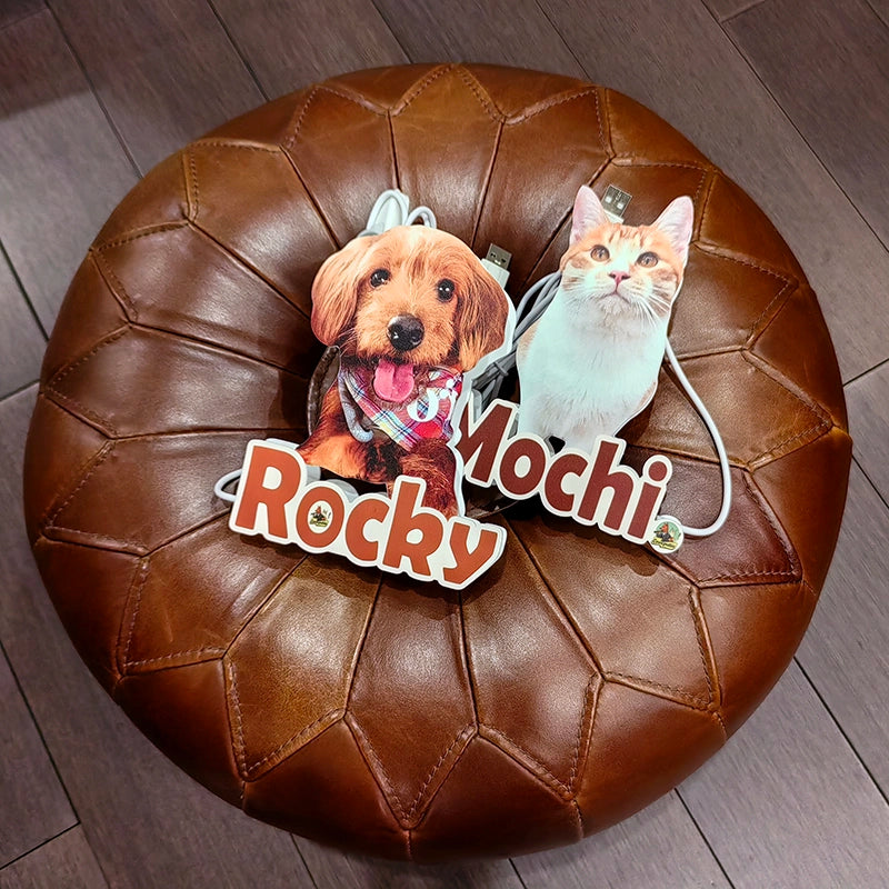 custom pet night light