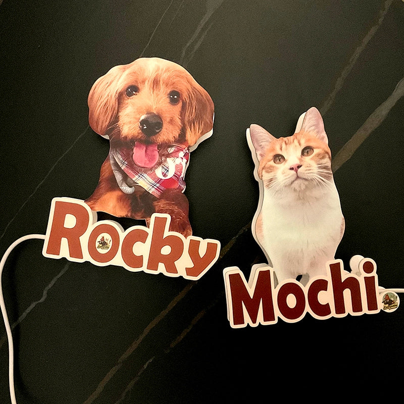 custom pet night light