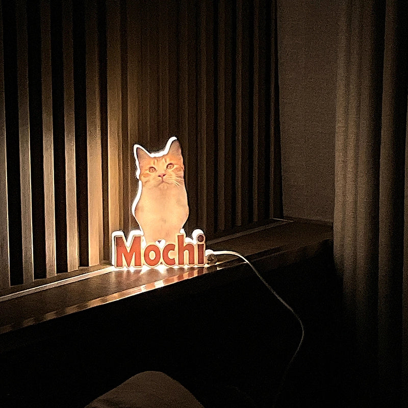 custom pet night light