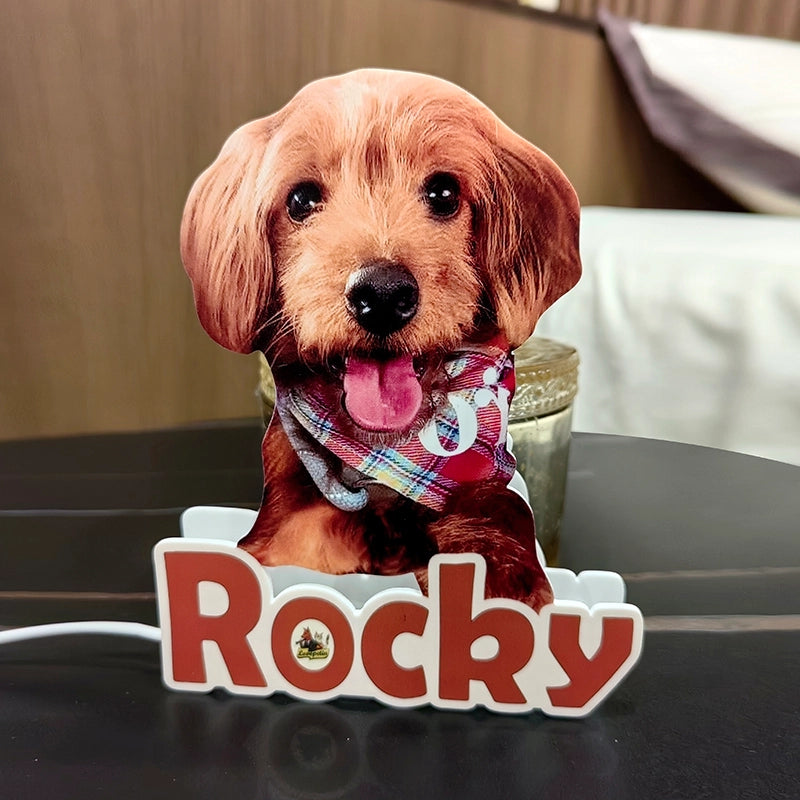 custom pet night light
