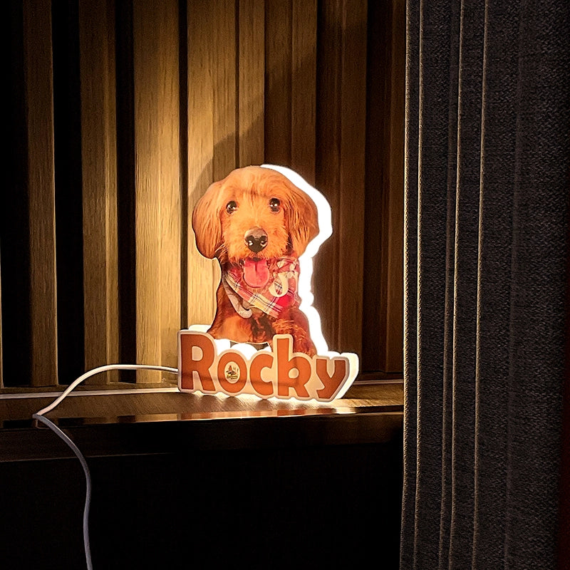 custom pet night light