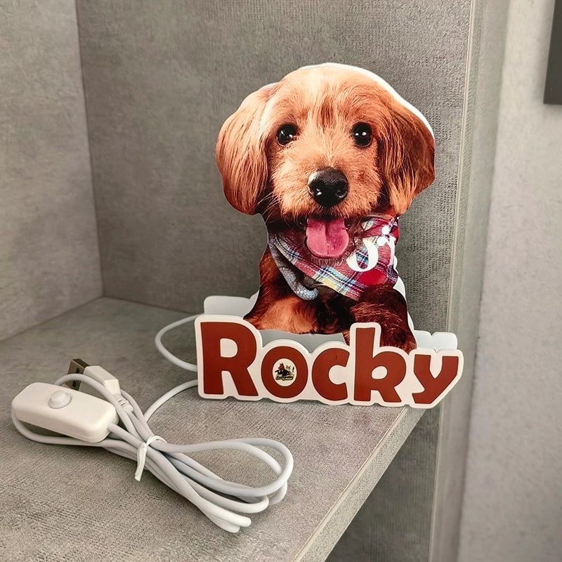custom pet night light