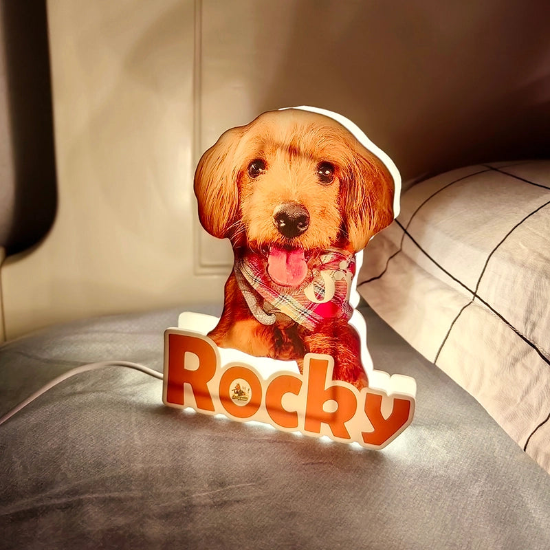 custom pet night light