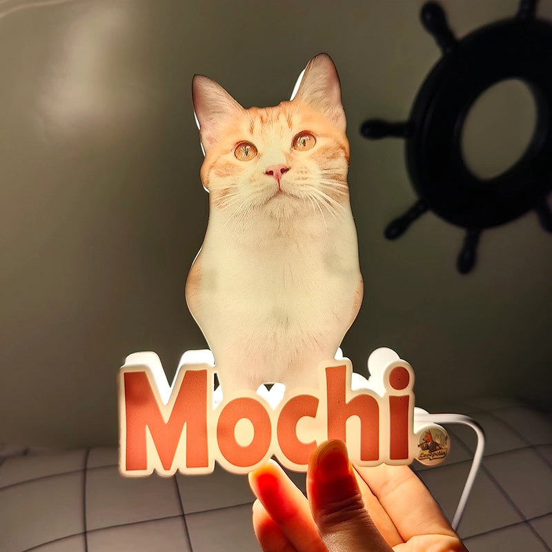 custom pet night light