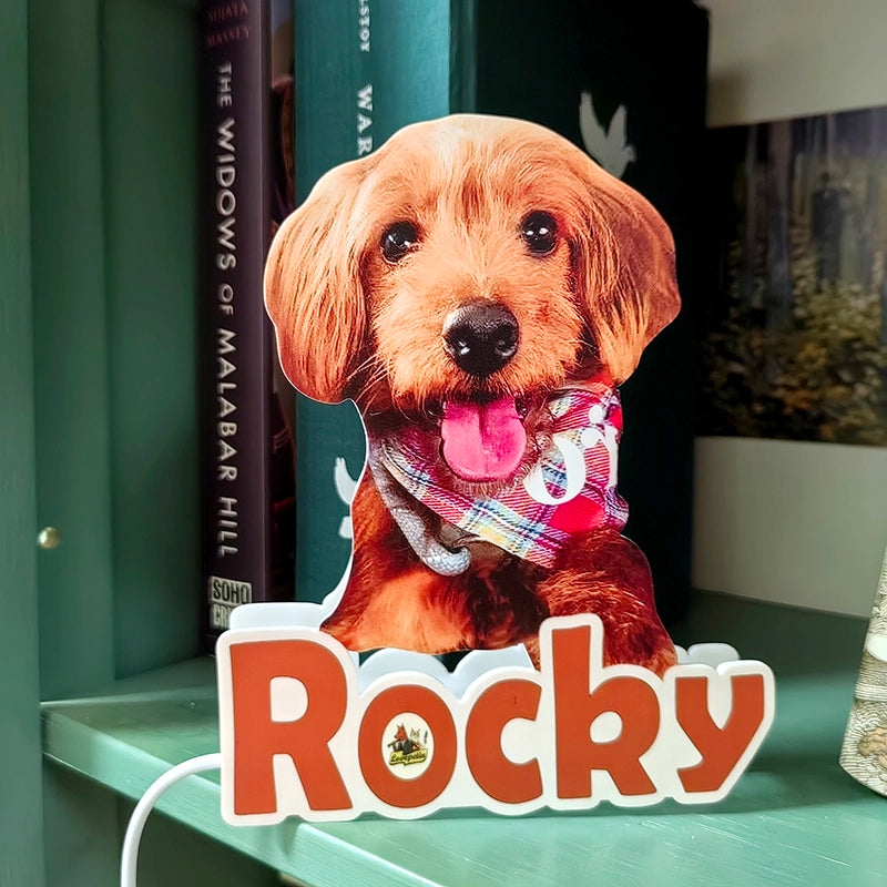 custom pet night light