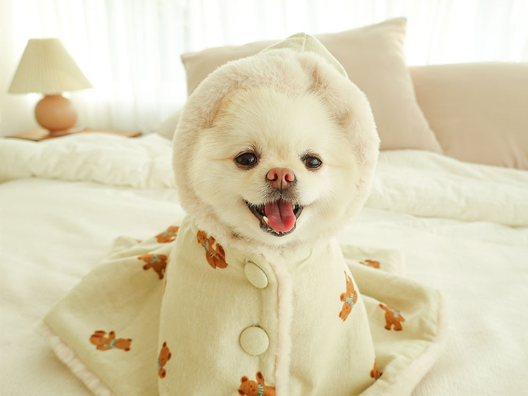 Cute Bear Pet Cloak Blanket petin