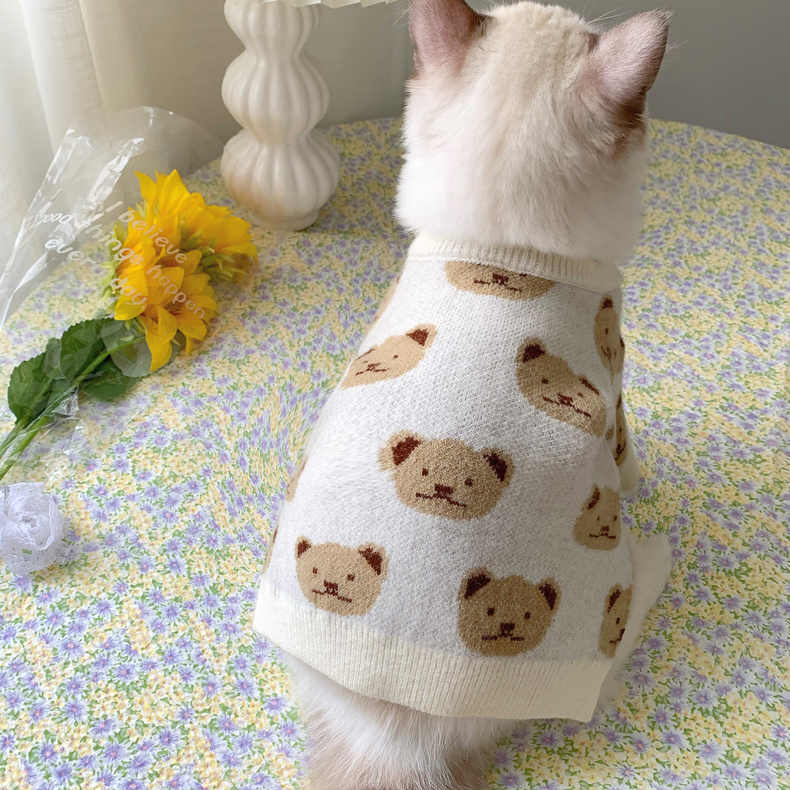 Cute Bear Print Cat Sweater petin