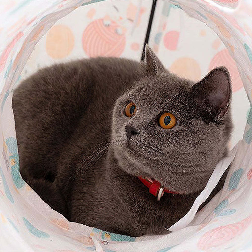 Cute Cat Tunnel Combination petin