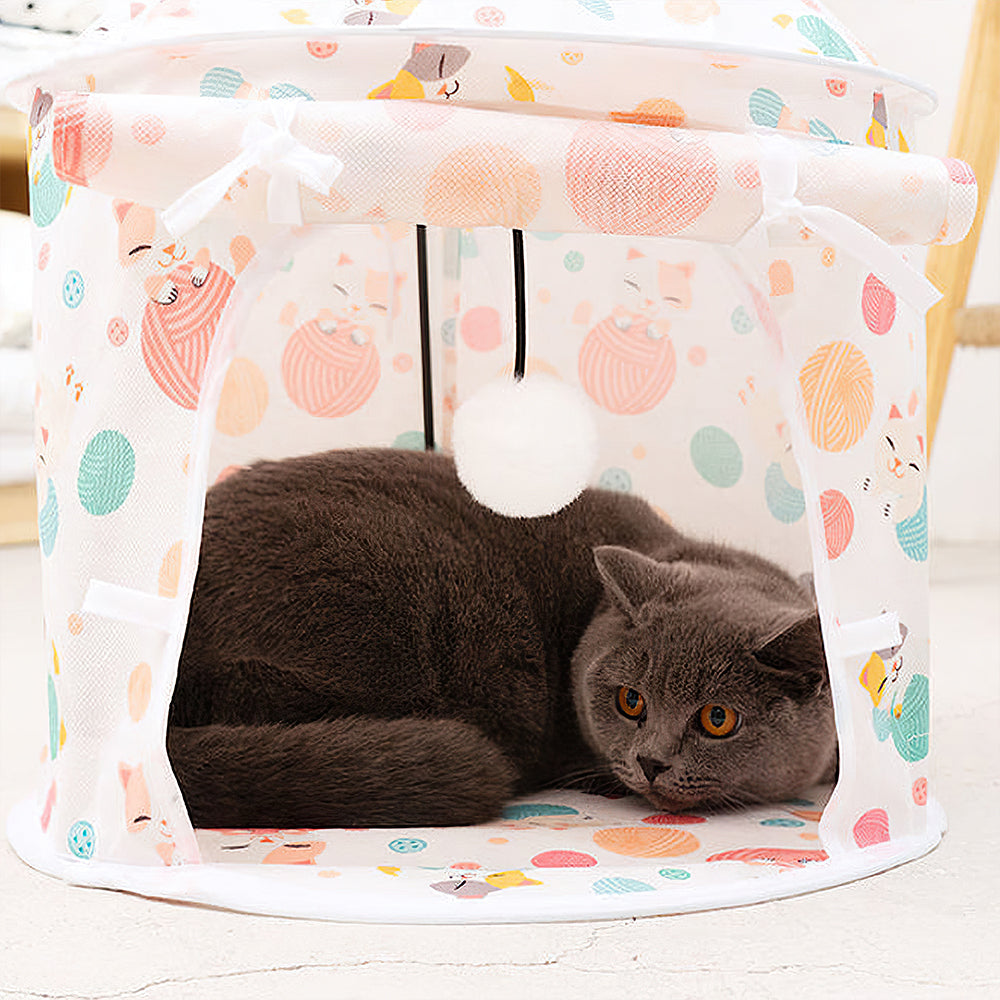 Cute Cat Tunnel Combination petin