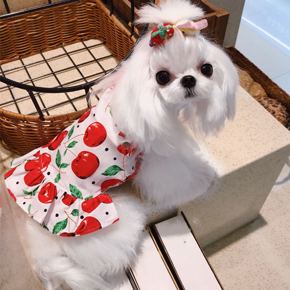 Cute Cherry Pattern Cat Dress petin