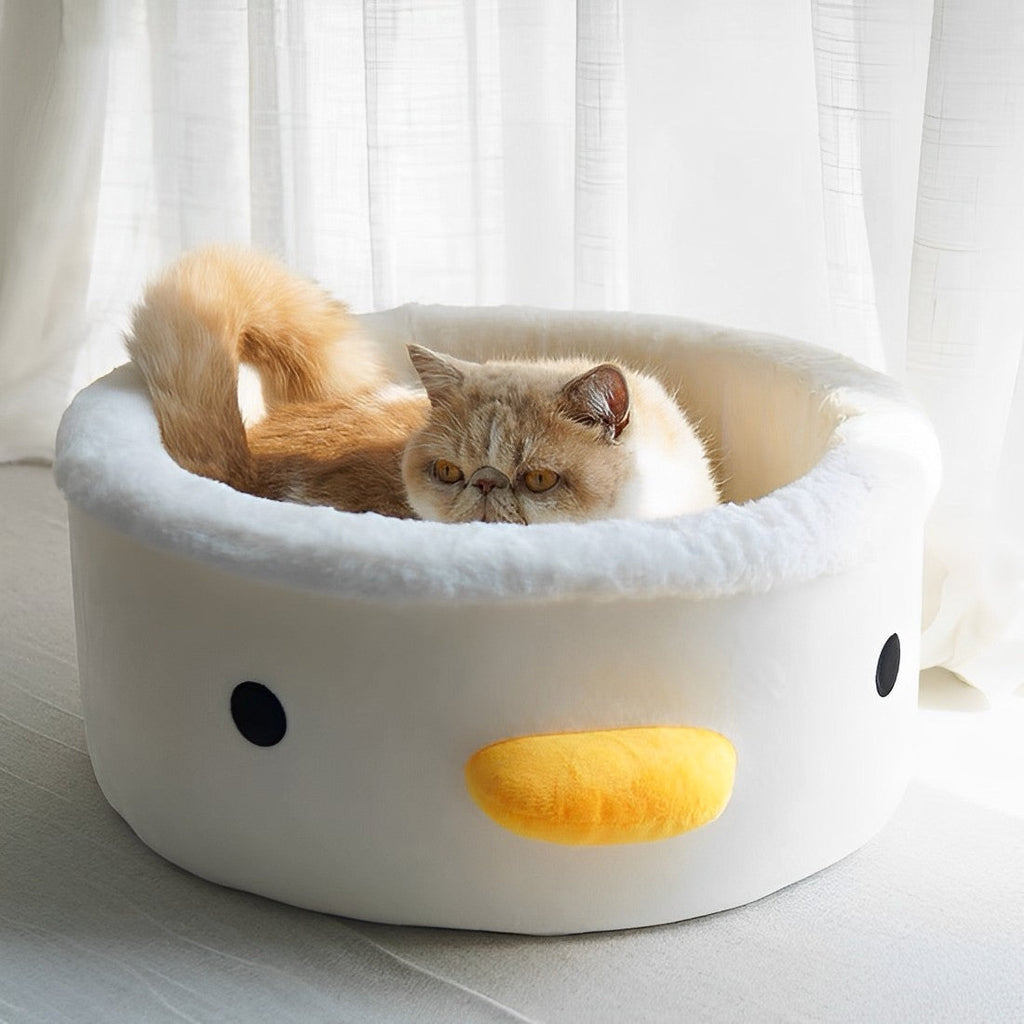 Cute Chick Cat Bowl petin