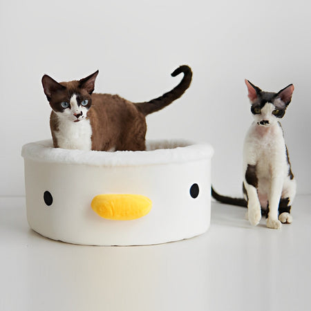 Cute Chick Cat Bowl petin