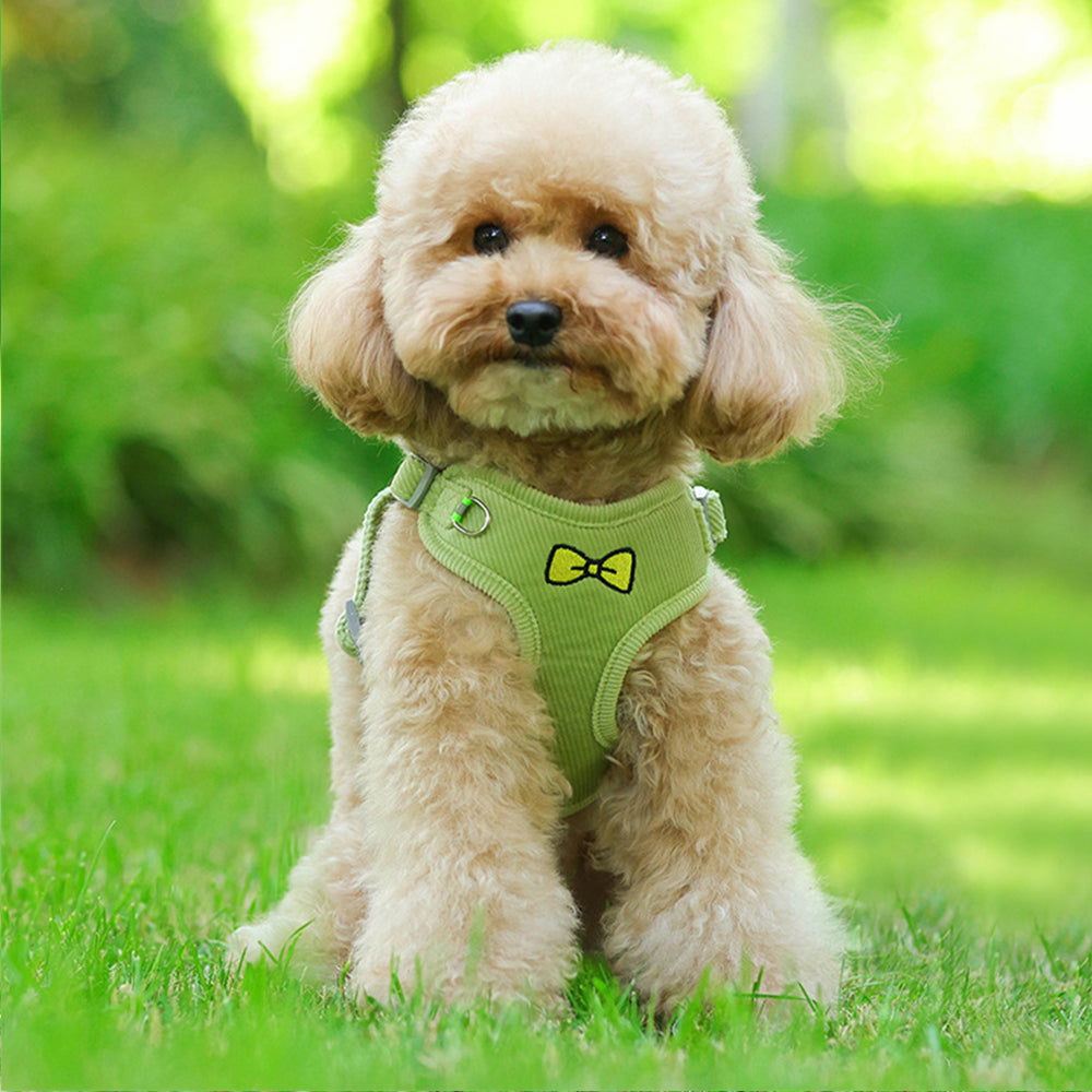 Cute Embroidered Ultralight Dog Harnesses petin