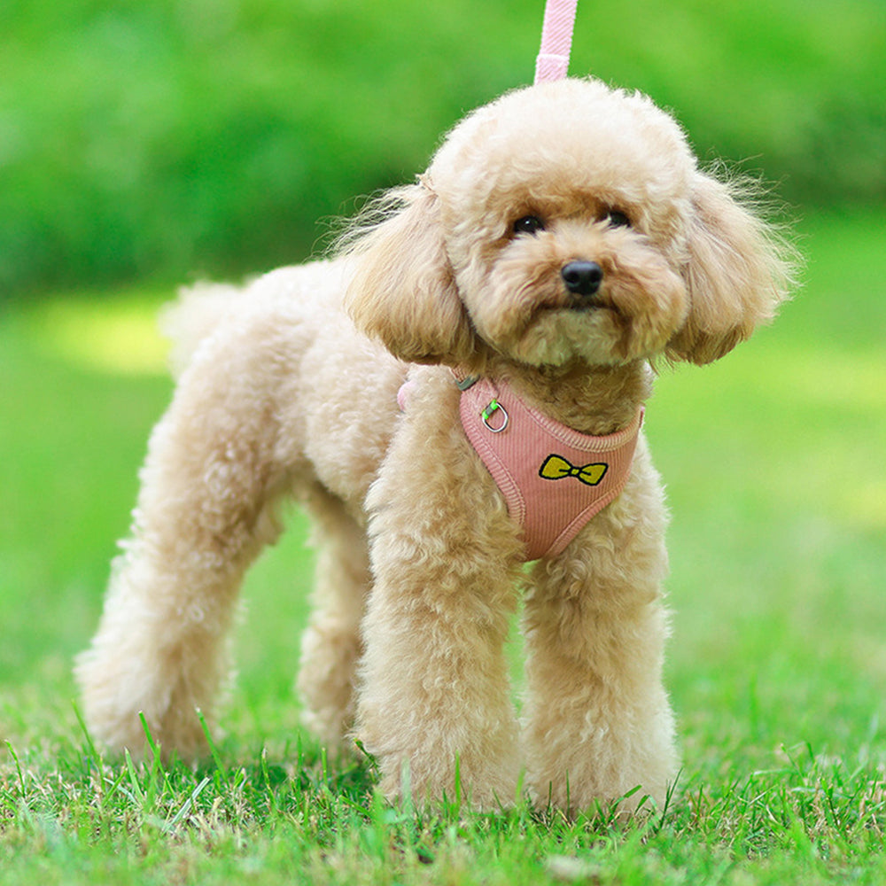 Cute Embroidered Ultralight Dog Harnesses petin
