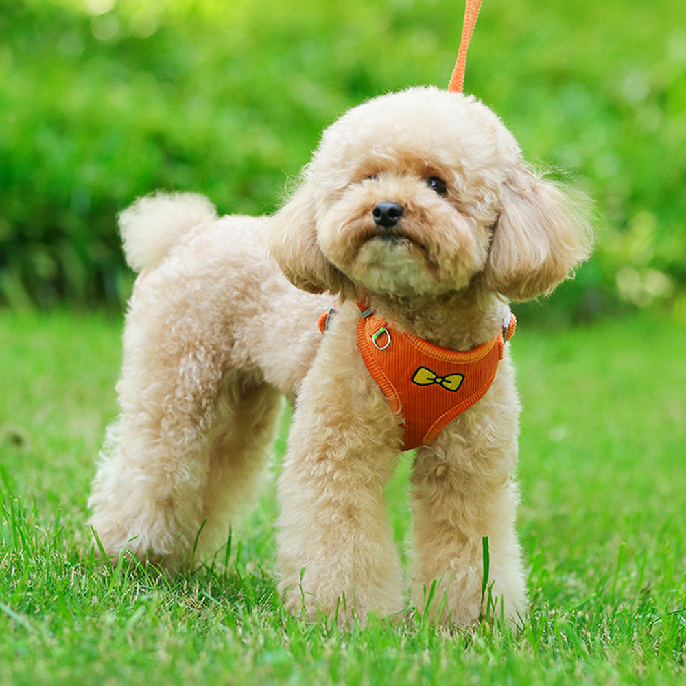 Cute Embroidered Ultralight Dog Harnesses petin