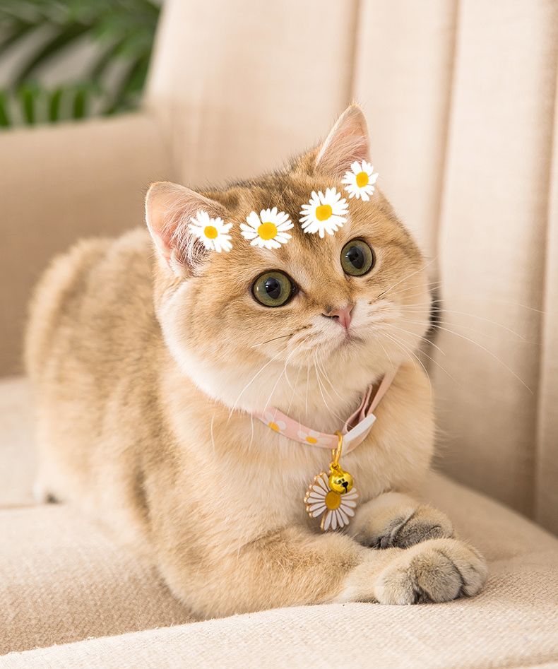 Cute Printed Cat Collar with Bells petin