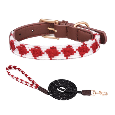 Diamond Lattice Dog Collar&Leash Set petin