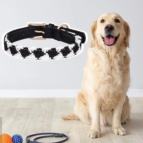 Pet Supplies,Pet Stores | Lovepetin.com