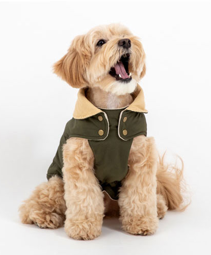 Dog Cotton-Padded Coat petin