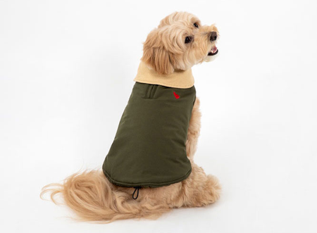 Dog Cotton-Padded Coat petin