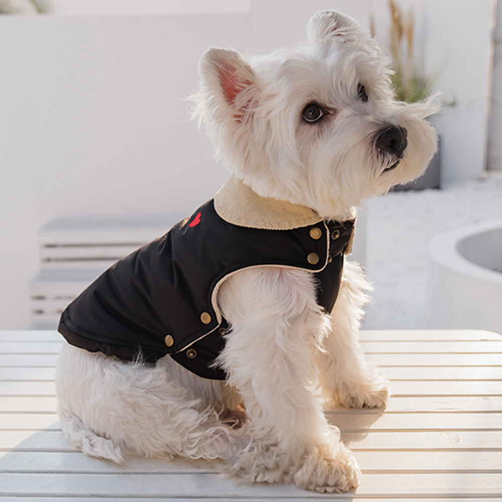 Dog Cotton-Padded Coat petin