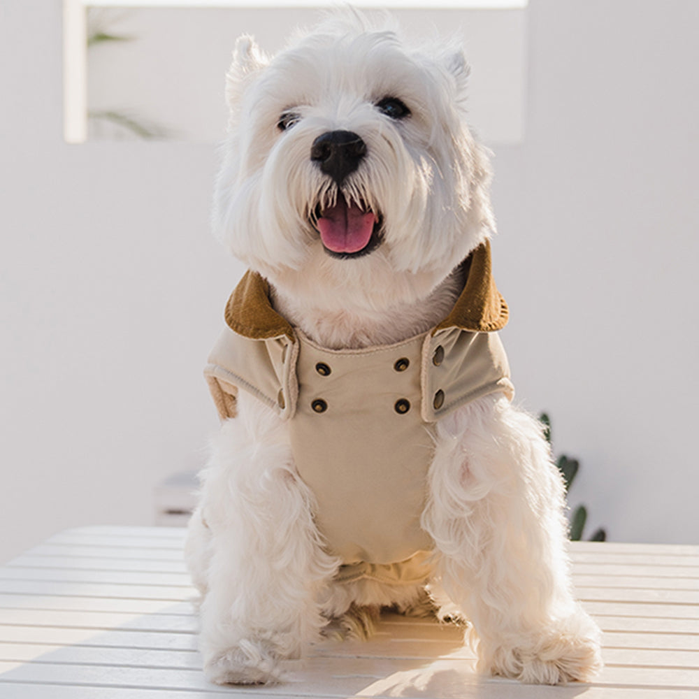Dog Cotton-Padded Coat petin