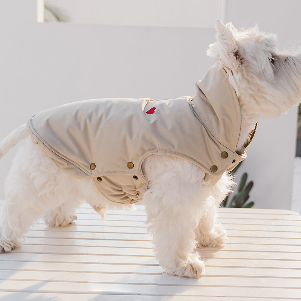 Dog Cotton-Padded Coat petin