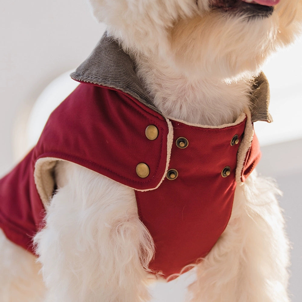 Dog Cotton-Padded Coat petin