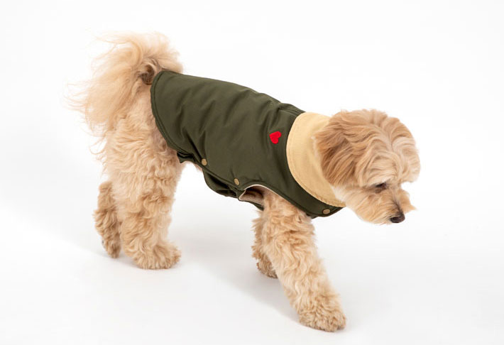 Dog Cotton-Padded Coat petin