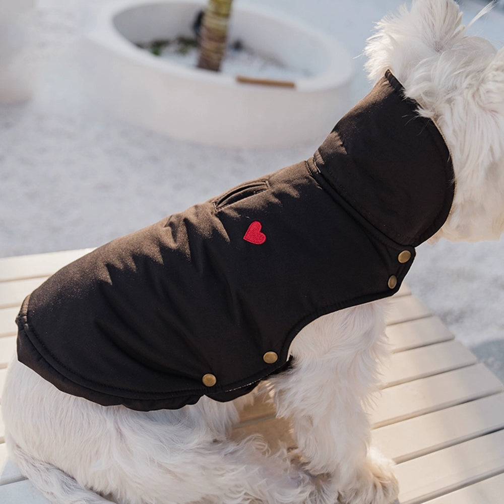 Dog Cotton-Padded Coat petin