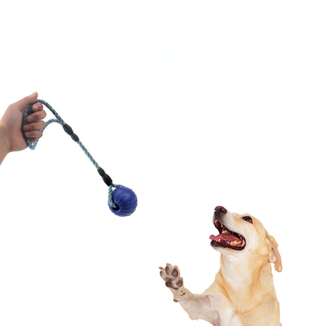 Dog EVA Interactive Training Toys petin