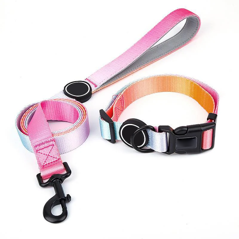 Dog Collar And Leash Set