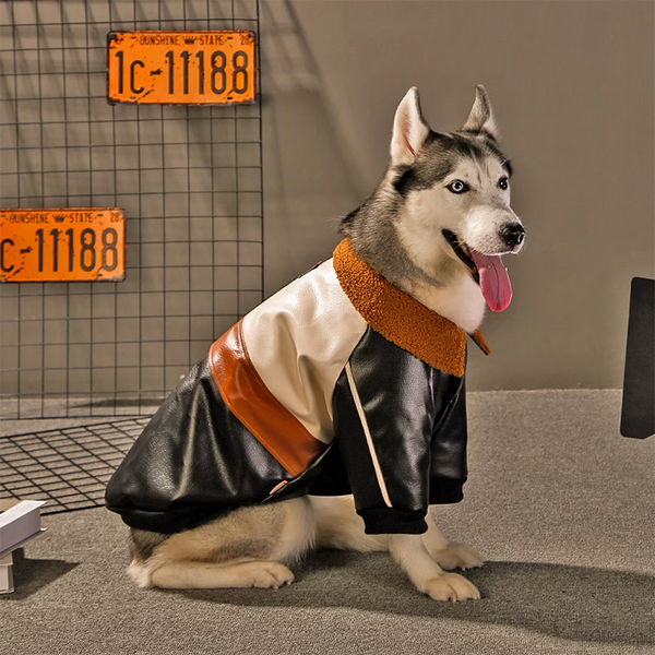 Dog Leather Jacket Coat