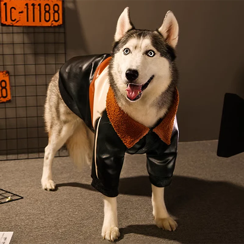 Dog Leather Jacket Coat 4