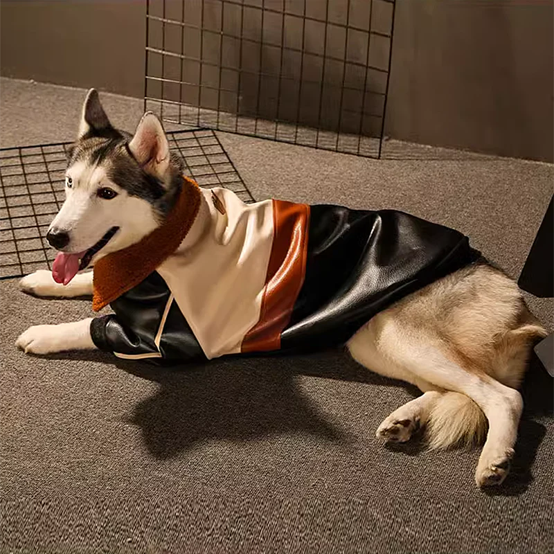 best dog coats